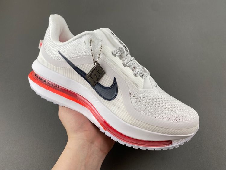 Nike Pegasus Premium Summit '